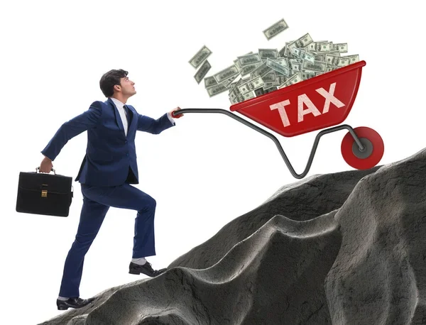 Who Pays This Tax