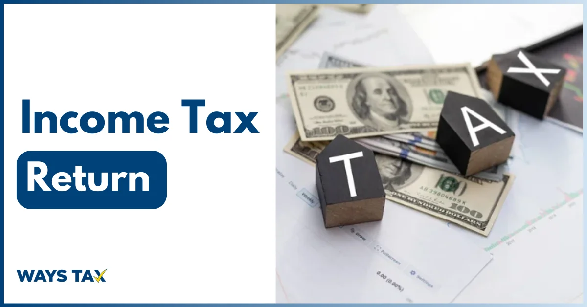 Income Tax Return Filing Glitches Trouble Salaried Class in Pakistan