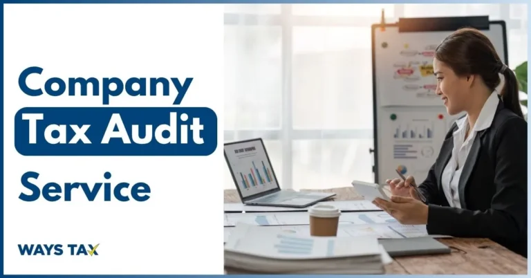 Professional illustration representing Company Tax Audit Service, showing financial documents, auditing tools, and a business team reviewing tax compliance.