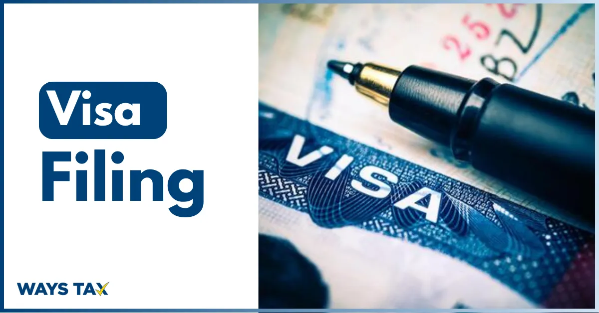Visa Filing